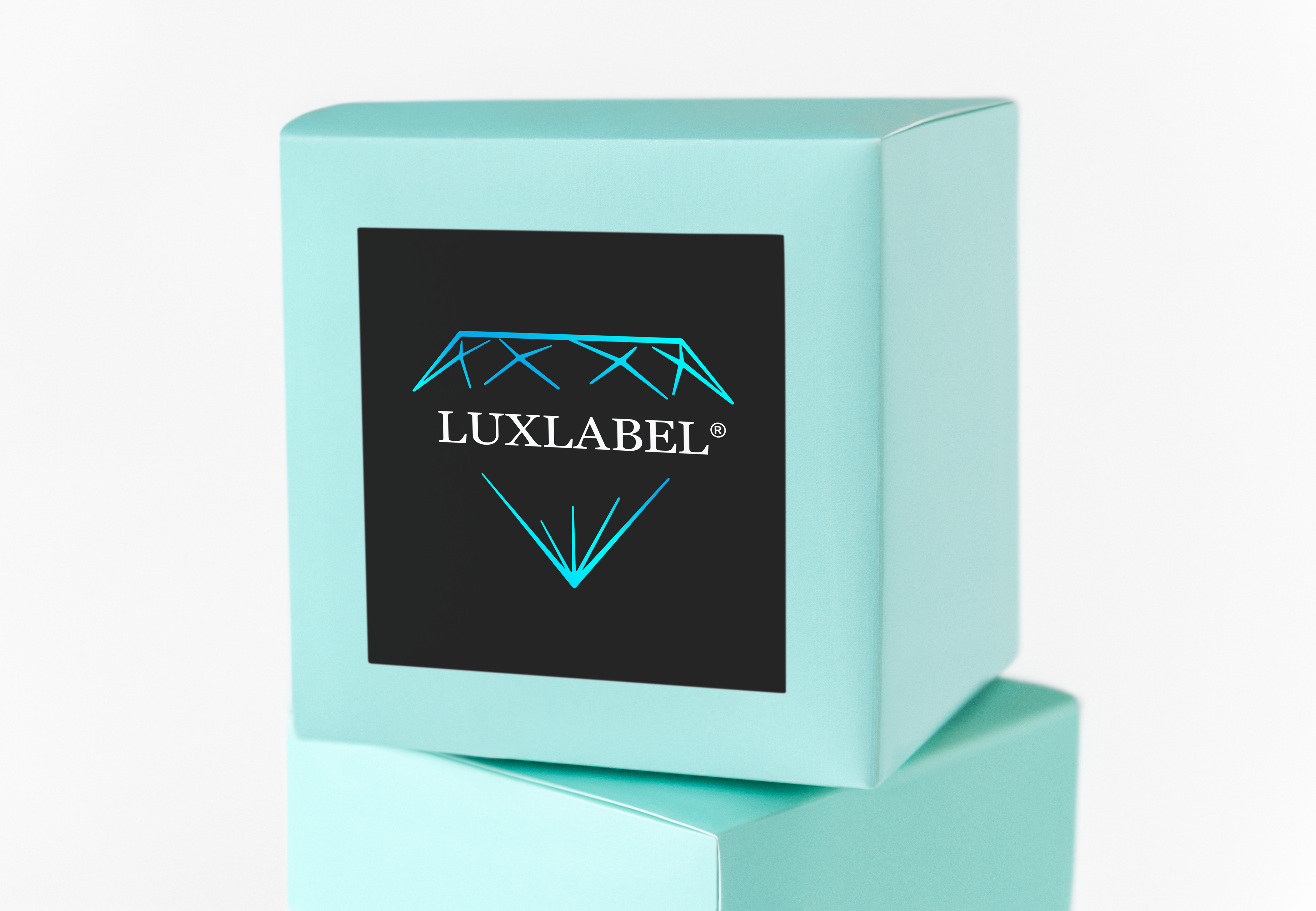 Lifeshield Kit